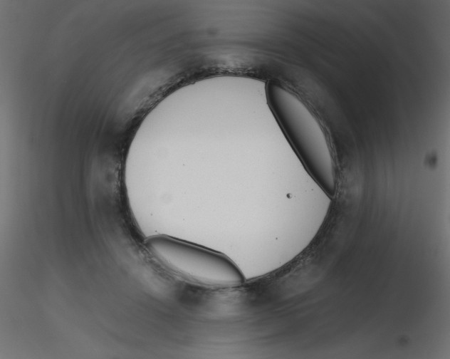 X0000116600456200912312100