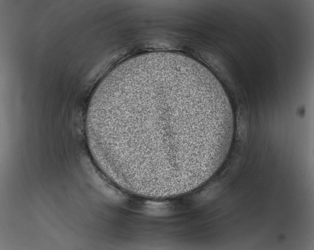 X0000116600457200912312100