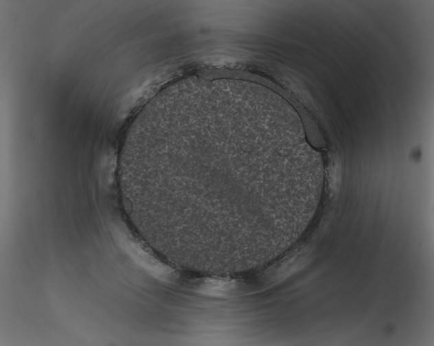 X0000116600458200912312100