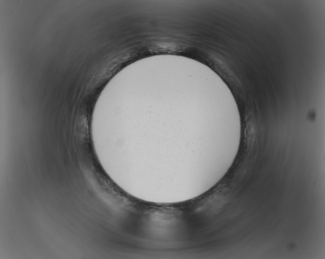 X0000116600459200912312100