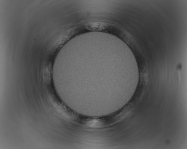 X0000116600460200912312100