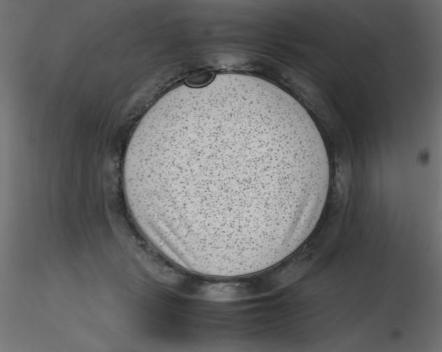 X0000116600461200912312100
