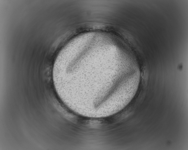 X0000116600462200912312100