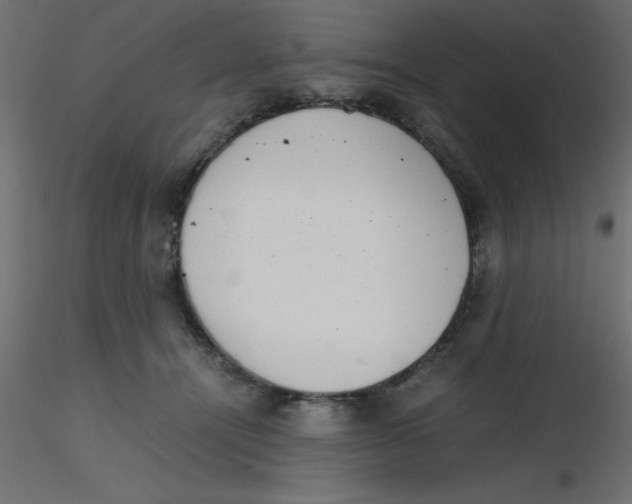 X0000116600464200912312100