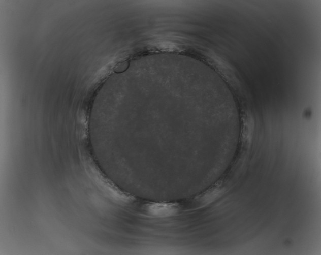 X0000116600465200912312100