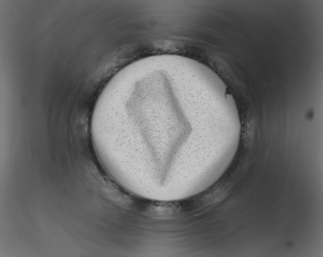 X0000116600466200912312100