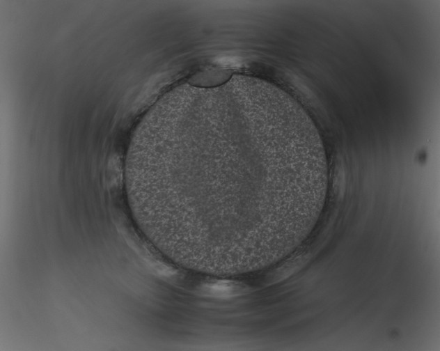X0000116600467200912312100