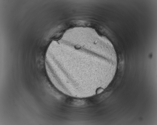 X0000116600469200912312101