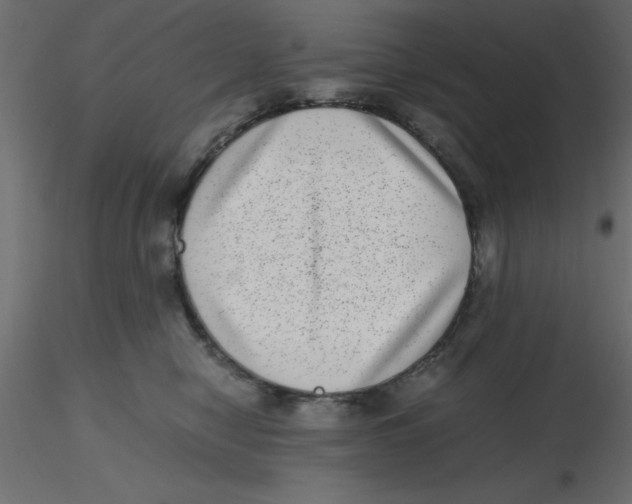 X0000116600470200912312101