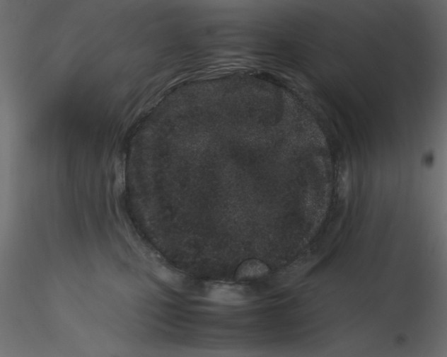 X0000116600471200912312101