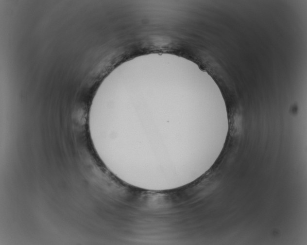 X0000116600472200912312101