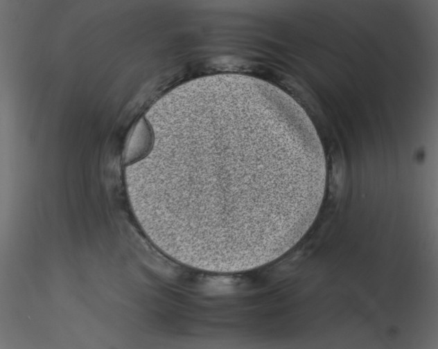 X0000116600473200912312101