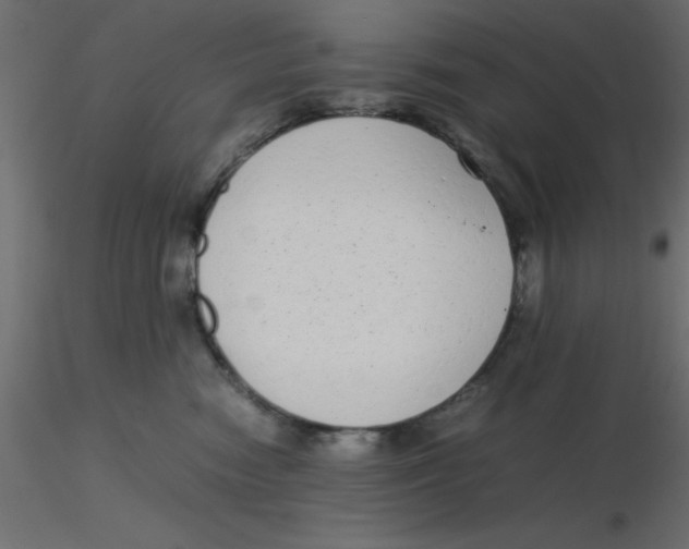 X0000116600474200912312101