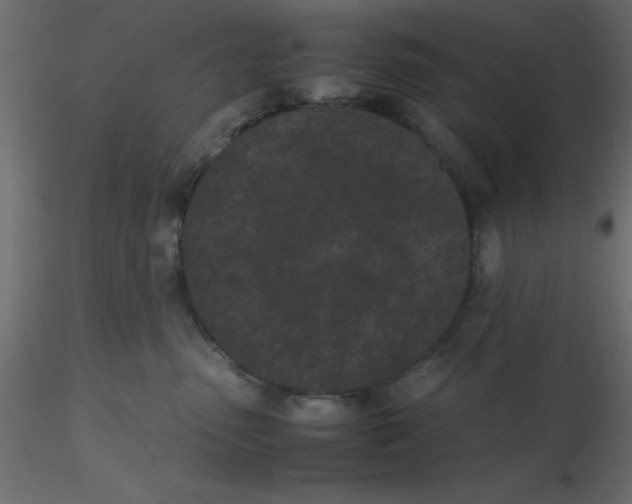 X0000116600475200912312101