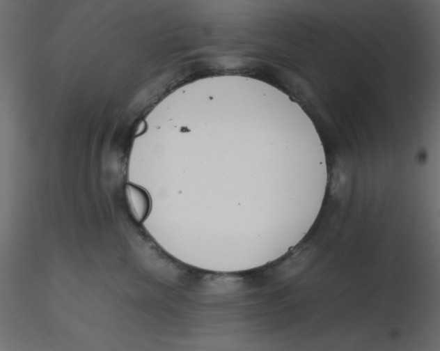X0000116600476200912312101