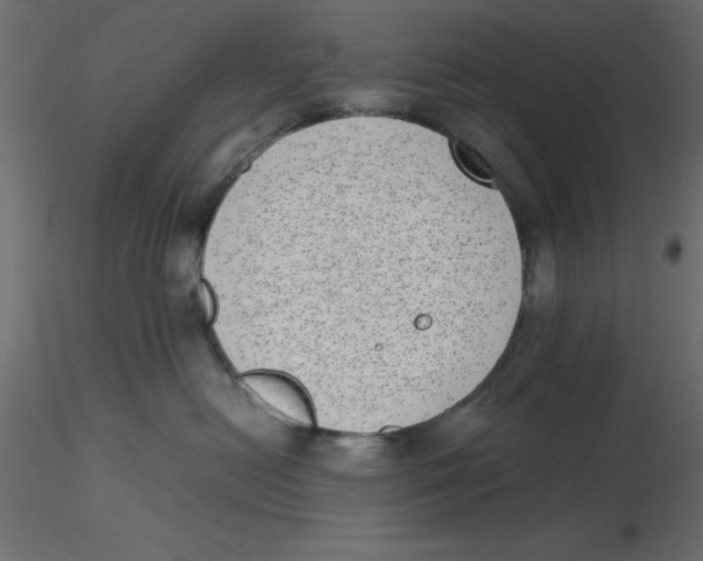 X0000116600478200912312101