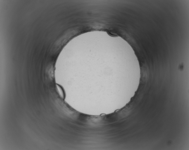 X0000116600479200912312101
