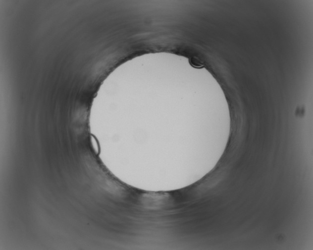 X0000116600480200912312101