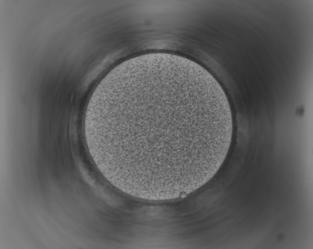 X0000116600482200912312100