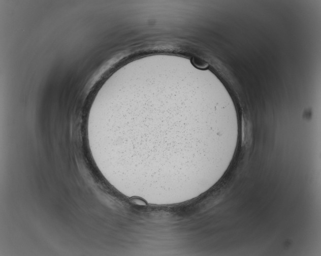 X0000116600483200912312100