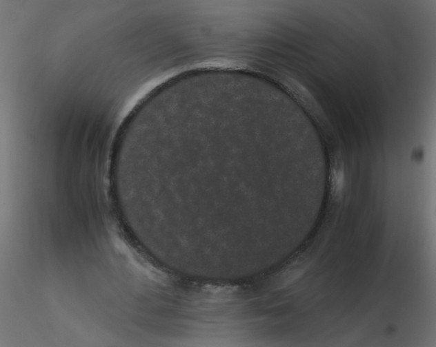 X0000116600484200912312100