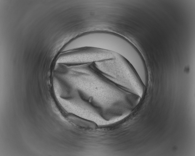 X0000116600485200912312100