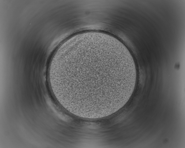 X0000116600486200912312100