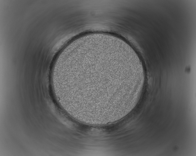X0000116600487200912312100