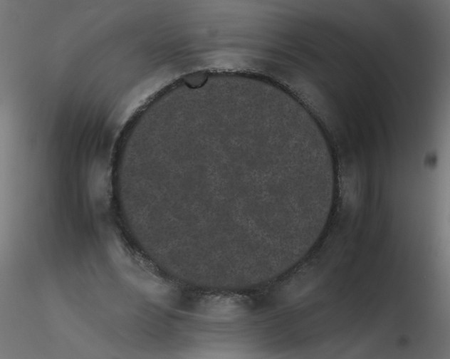 X0000116600488200912312100