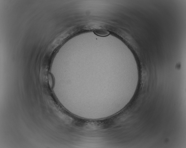 X0000116600489200912312100