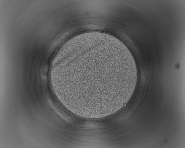 X0000116600490200912312100