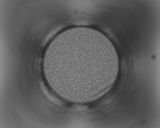 X0000116600491200912312100