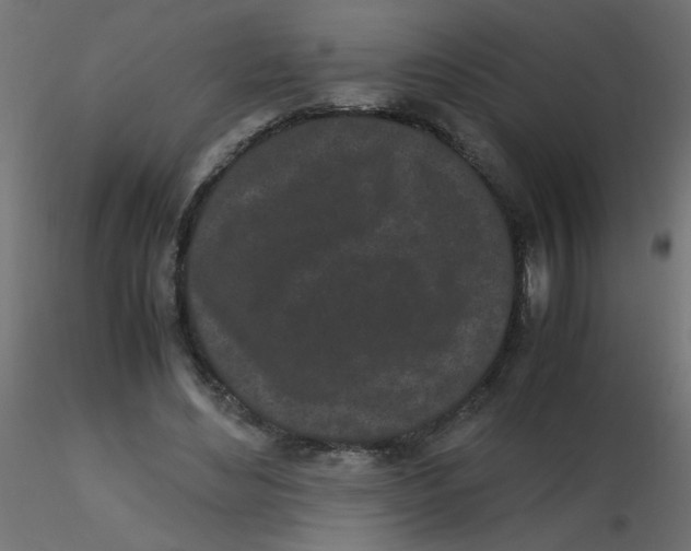 X0000116600492200912312100