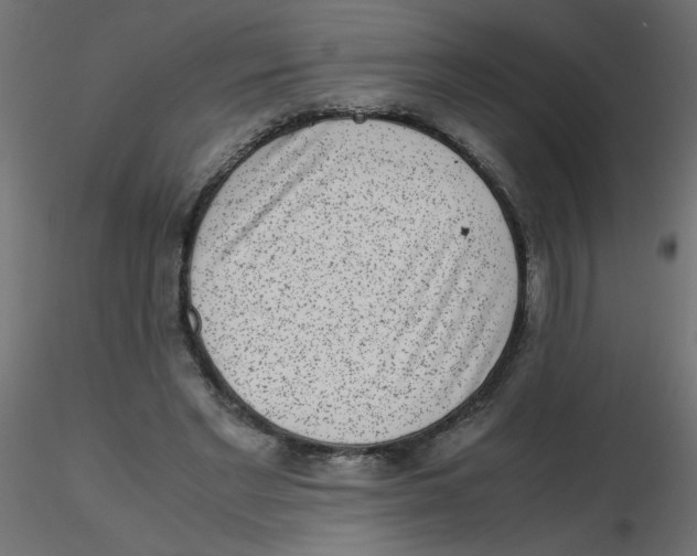 X0000116600493200912312100