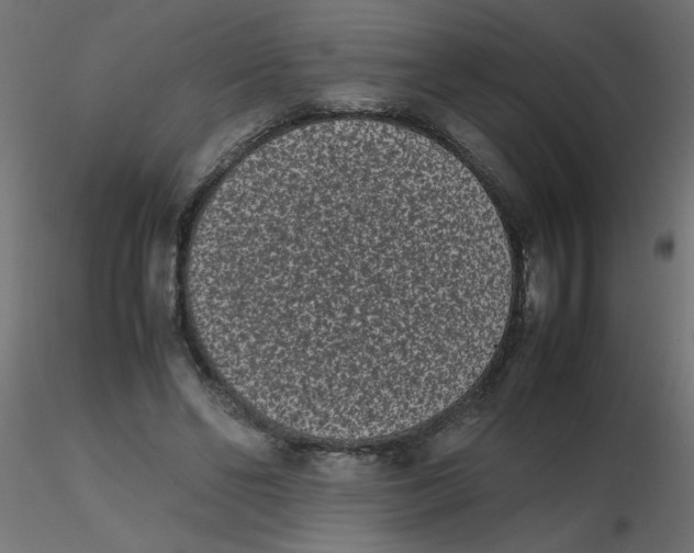 X0000116600494200912312100