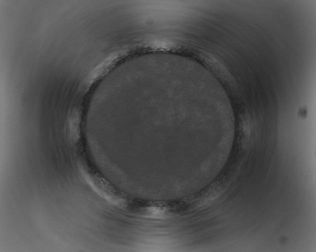 X0000116600496200912312100