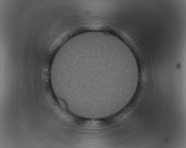 X0000116600497200912312100