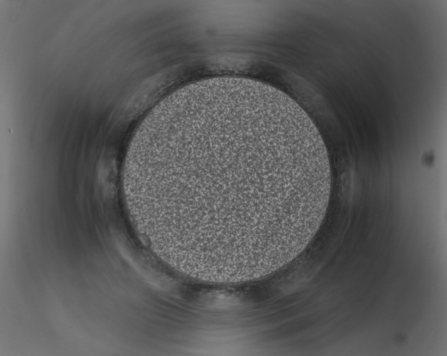 X0000116600498200912312100