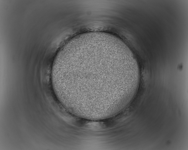 X0000116600499200912312100