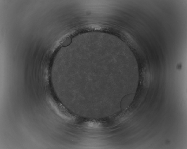 X0000116600500200912312100