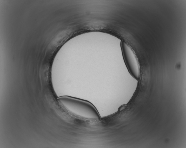 X0000116600501200912312100