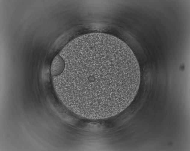 X0000116600502200912312100