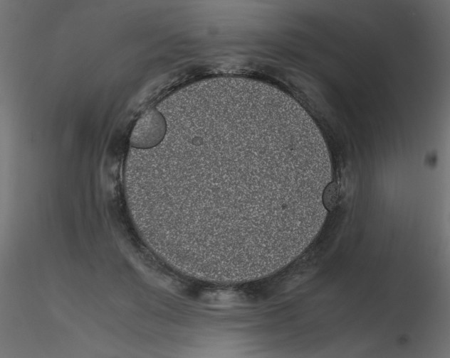 X0000116600503200912312100