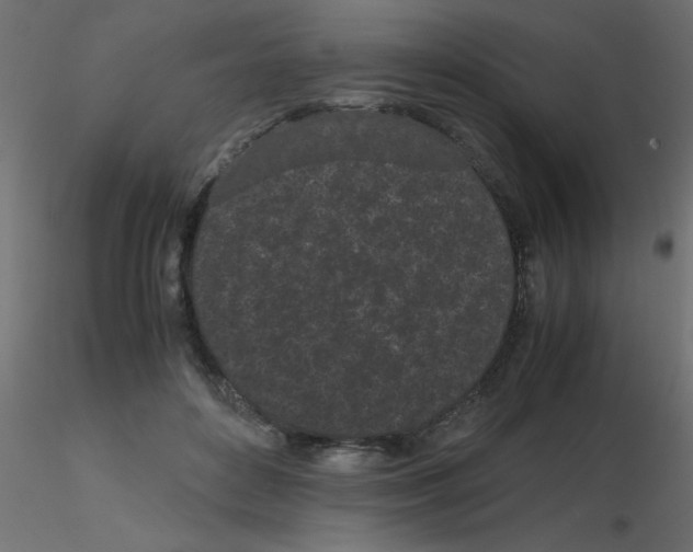 X0000116600504200912312100