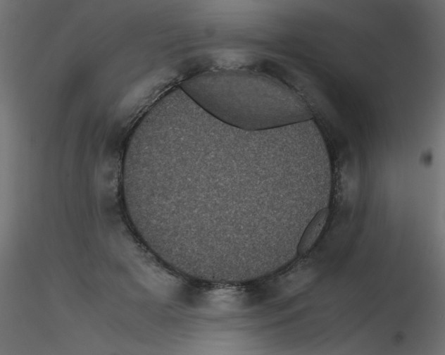 X0000116600505200912312100