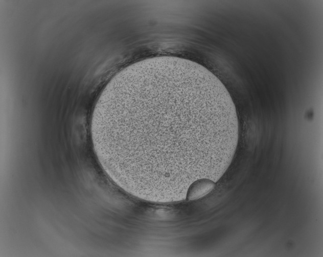 X0000116600506200912312100