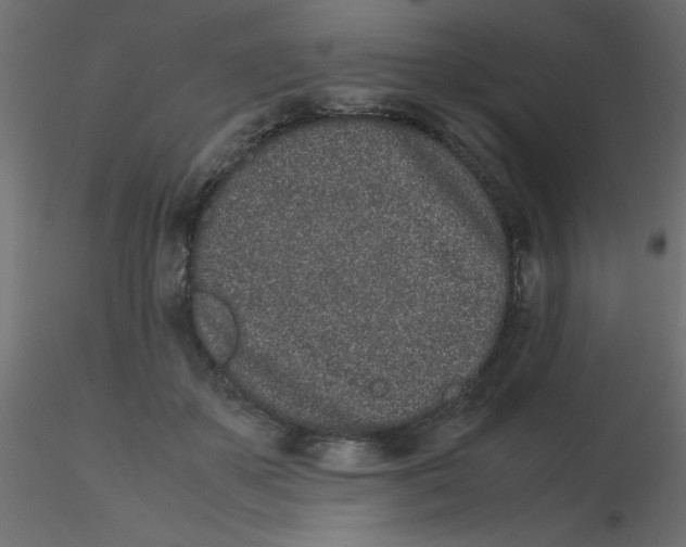 X0000116600507200912312100