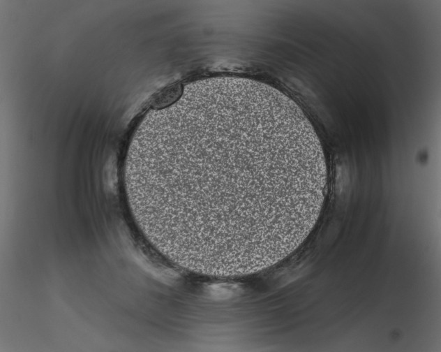 X0000116600508200912312100