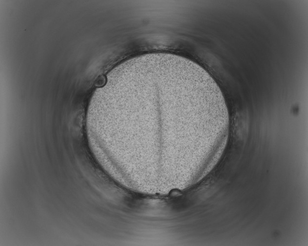 X0000116600509200912312100