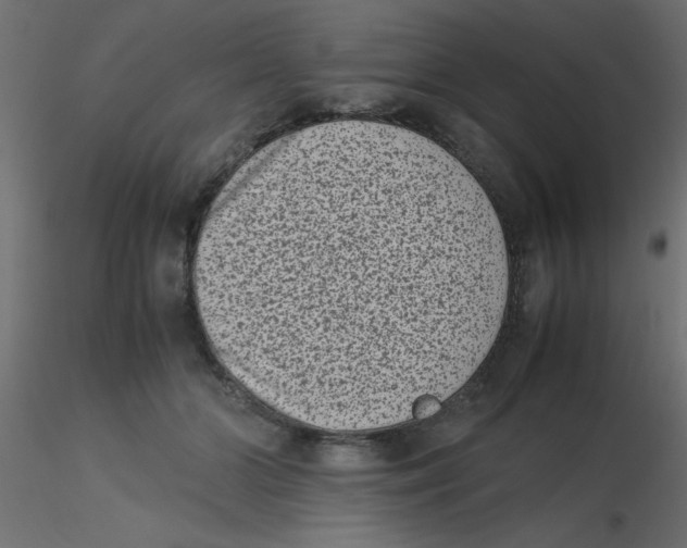 X0000116600510200912312100